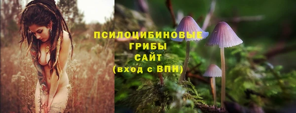 тгк Баксан