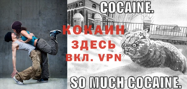 дживик Балахна