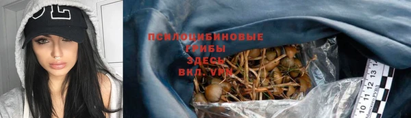 тгк Баксан