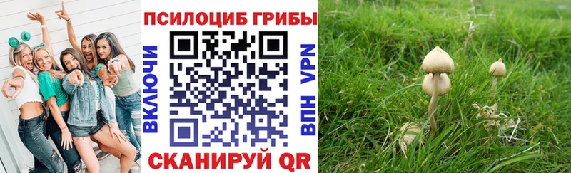 мориарти клад  Губаха  Псилоцибиновые грибы мицелий  ссылка на мегу зеркало 
